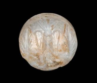 Discoid seal with a cuttlefish