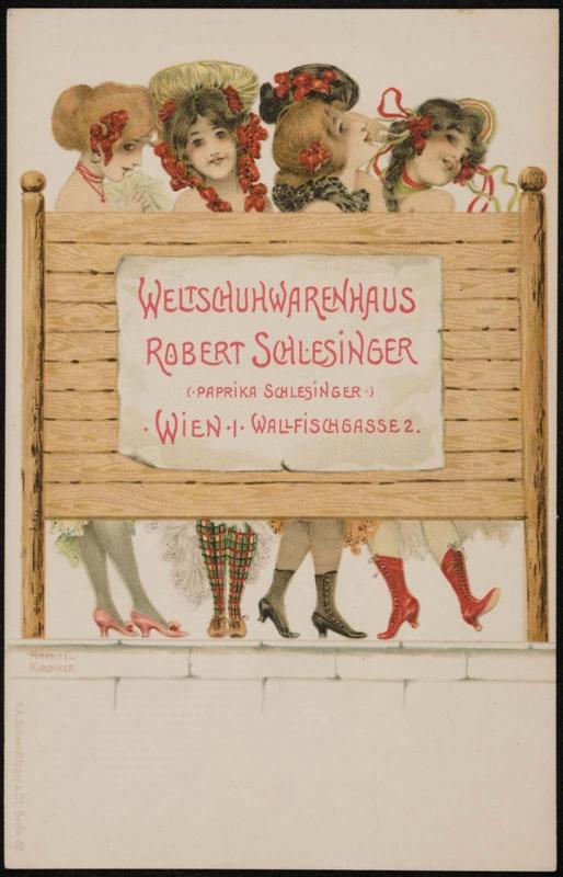 Robert Schlesinger, Wien