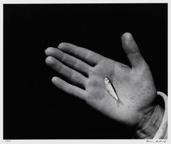 Hand & Fish