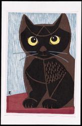 Black Kitten