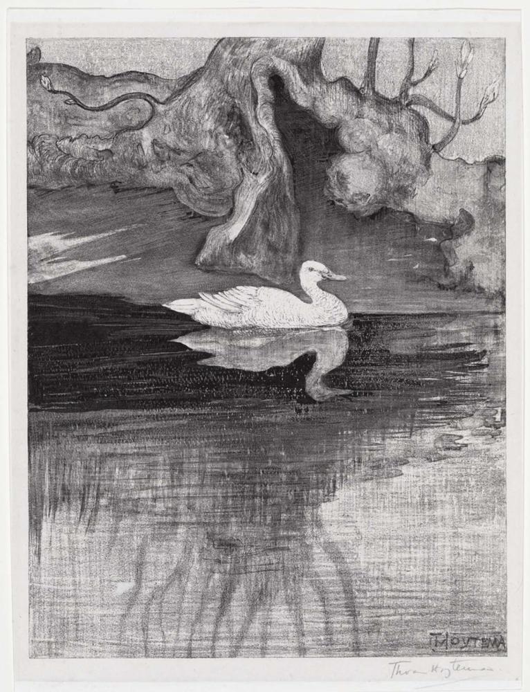 White Duck (Witte Eend Zwemmend Bij Boomwortels)