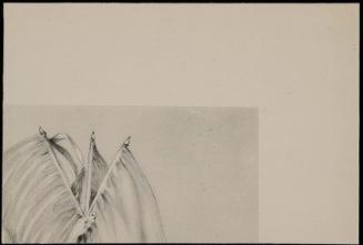 Top right corner, from the puzzle For Rights and Freedom