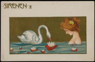 Swan, from the series Sirens