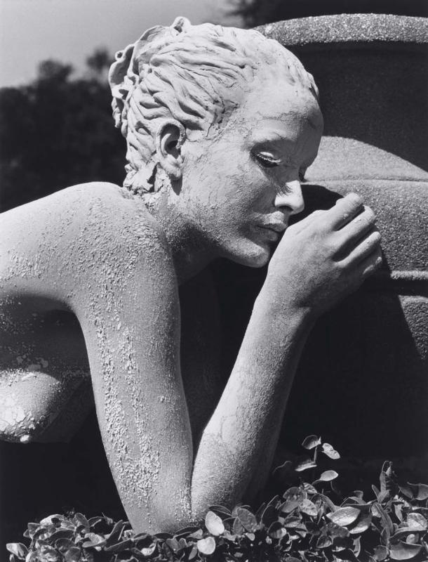 Georgina, Santa Barbara