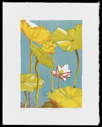 Scholar's Garden (from the portfolio, Translations 2006)