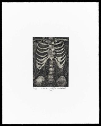 KGN (from the portfolio, Translations 2006)