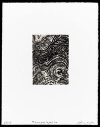 Transmigratio (from the portfolio, Translations 2006)