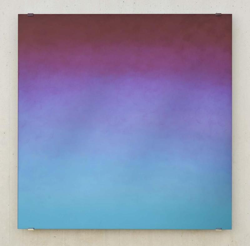 Verity (magenta blue)