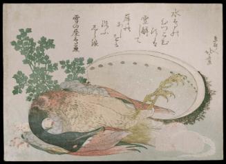 Conservation Status: After Treatment