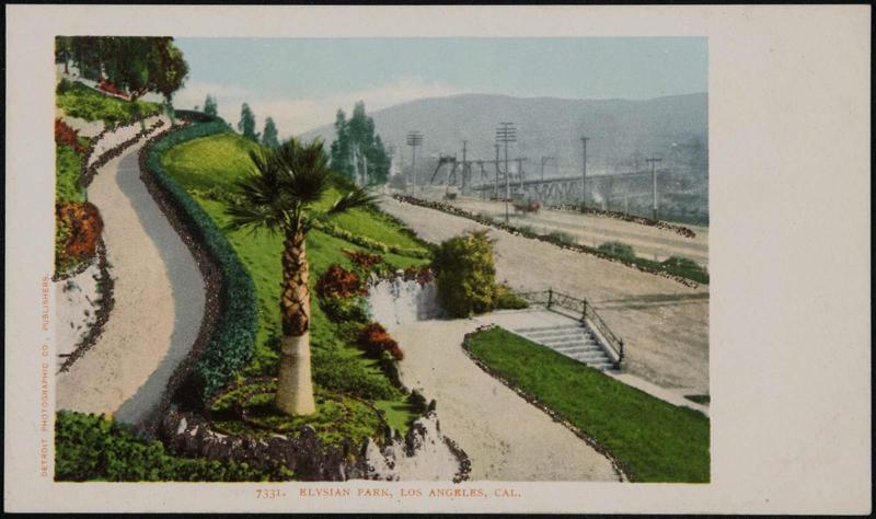 Elysian Park, Los Angeles, Cal. 7331