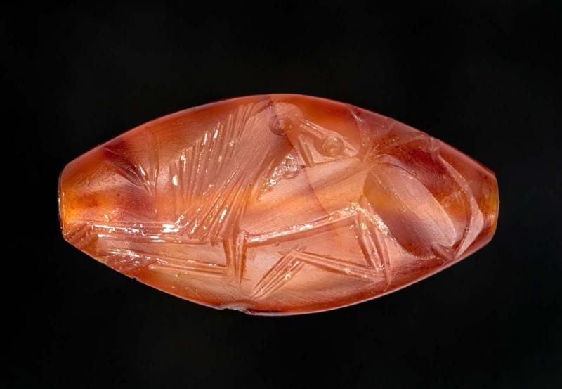 Amygdaloid seal with a lion