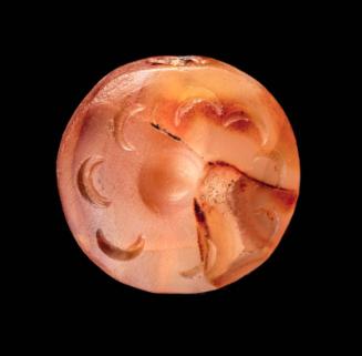 Lentoid seal with a rosette