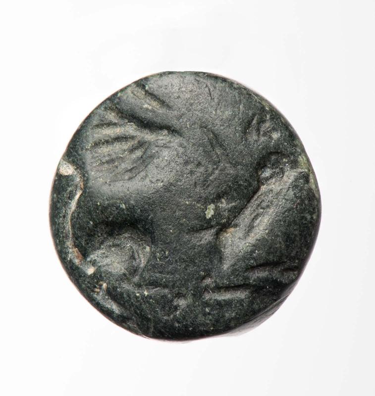 Lentoid seal with a griffin