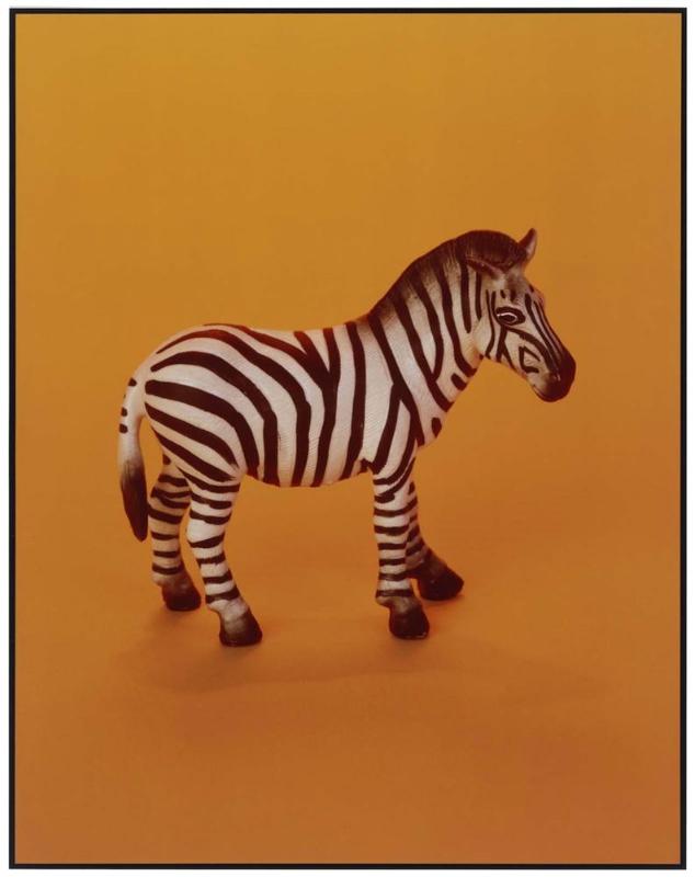 Z is for Zebra
