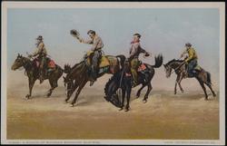 A Bunch of Bucking Broncho Busters. 11345