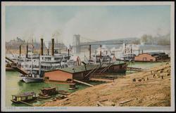 Along the Levee, Cincinnati, Ohio. 11463