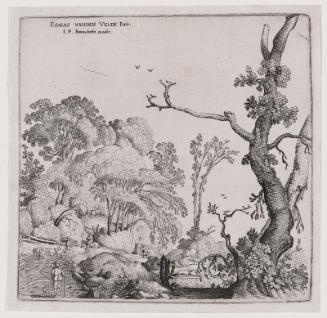 Wooded Landscape with Travelers (The Square Landscape)