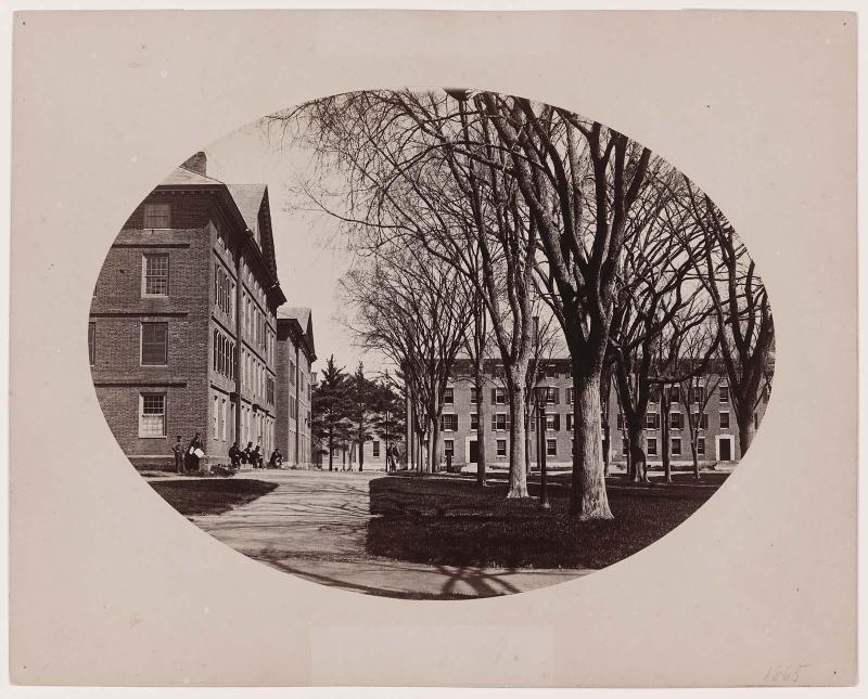 Harvard Yard, Looking North