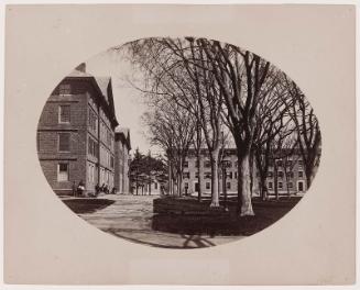 Harvard Yard, Looking North