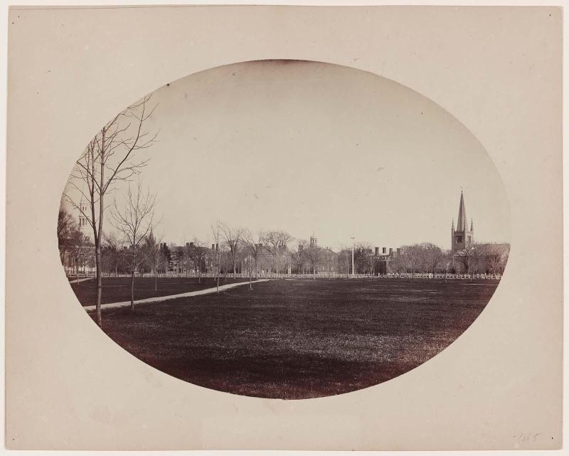 Harvard Yard from Cambridge Common