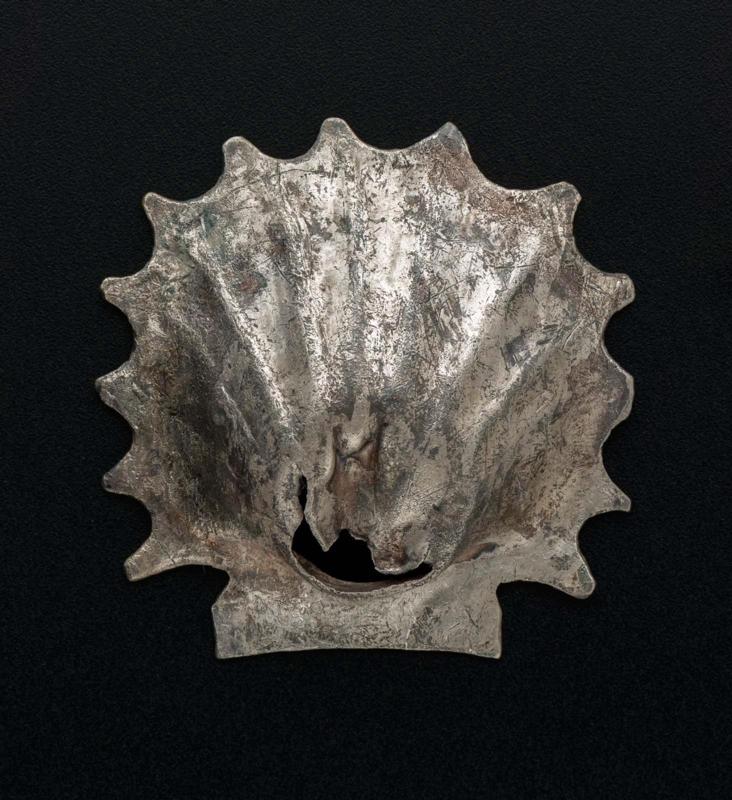 Scallop shell