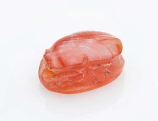 Scarab with a boar-man