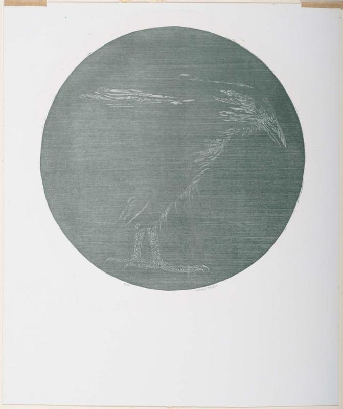 Crow