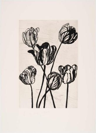 The Temple of Flora, Plate IV: Tulip