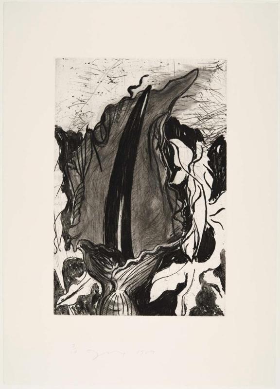 The Temple of Flora, Plate XVI: Dragon Arum