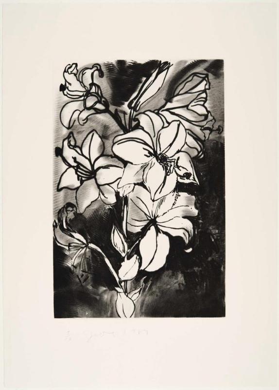 The Temple of Flora, Plate XVIII: Madonna Lily