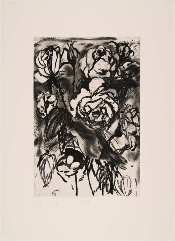 The Temple of Flora, Plate XXI: Rose