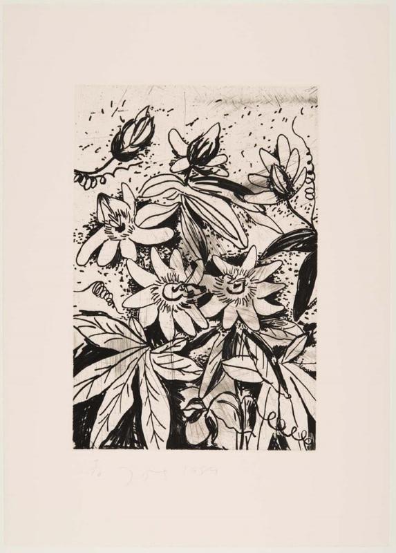 The Temple of Flora, Plate XXIII: Blue Passionflower