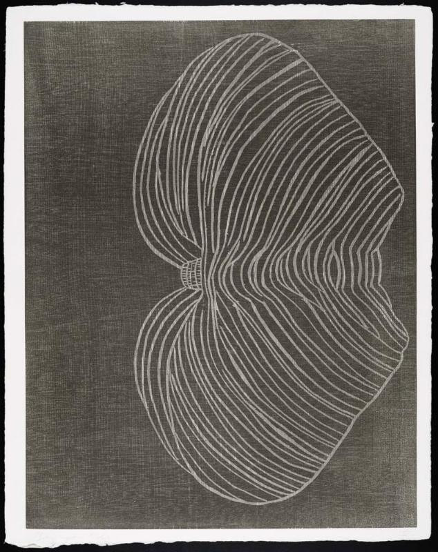 Furrows (5)