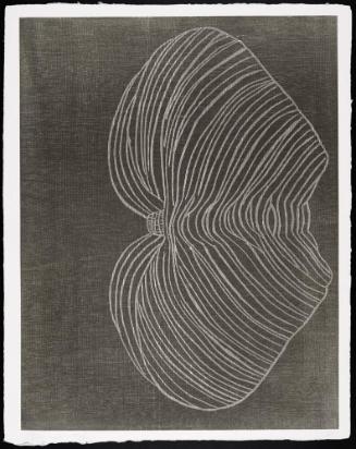 Furrows (5)