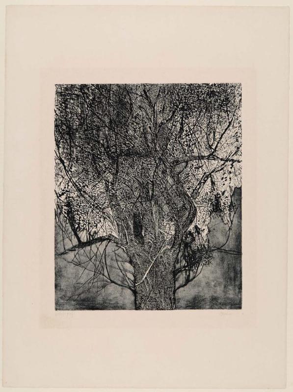 The Great Tree