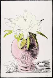 Flowers (gardenia)