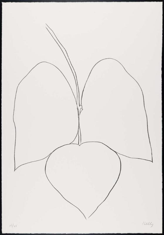 String Bean Leaves I (Haricot Vert I)