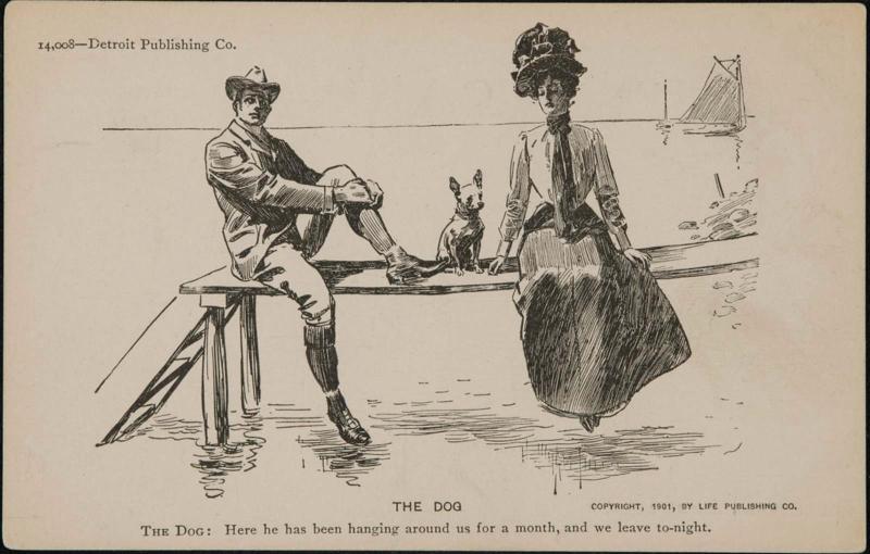 The Dog.14008