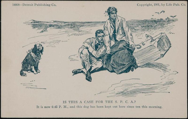 Is This a Case for the S.P.C.A.? 14008
It is now 6:45 P.M. and this dog has been kept out here since ten this morning.