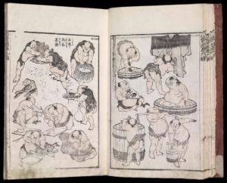 (Denshin kaishu) Hokusai manga kyûhen (Hokusai Sketchbooks, vol. 9)