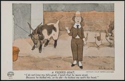 A Vicious Goat. 14171