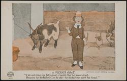 A Vicious Goat. 14171