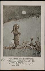 The Little Rabbit's Mistake. 14175