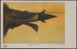Coming to the Call. 14184