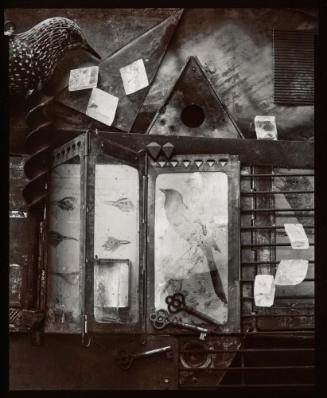 Blackbird Aviary from the portfolio New Works by 10 Massachusetts Photographers