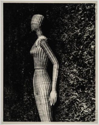 The Wicker Lady
