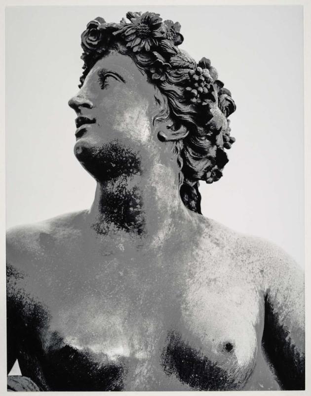 Versailles - Man's Head