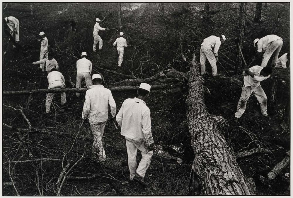 Clearing Land, Ellis Unit, from the portfolio, "Danny Lyon"