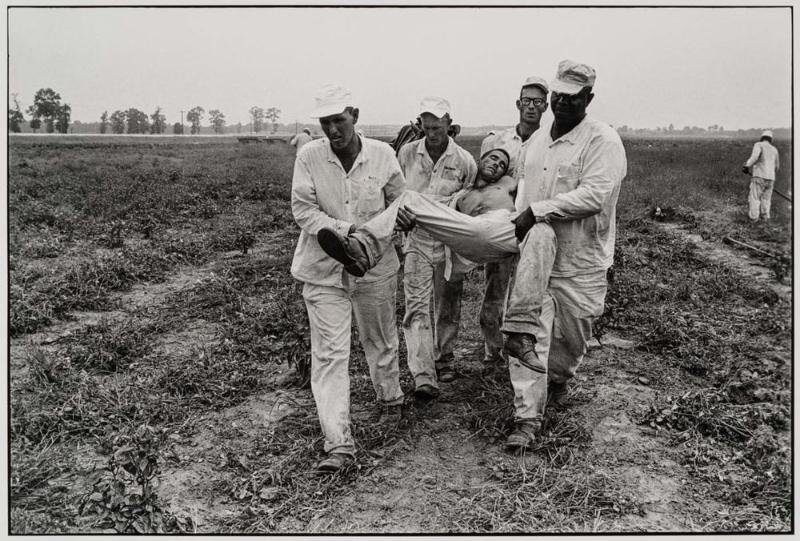 Heat Exhaustion, Ellis Unit, Texas, from the portfolio, "Danny Lyon"