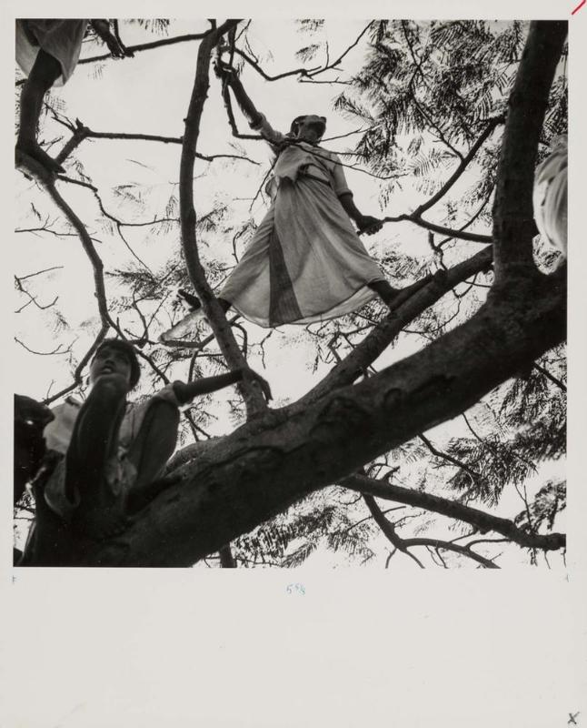 Boys in Trees, Madras